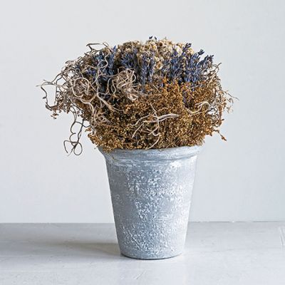 Cement Pot With Lavender