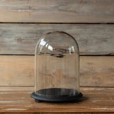 Classic Display Cloche With Wood Base