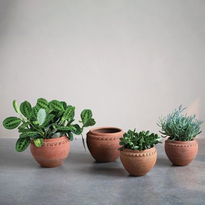 Classic Textured Terracotta Planter Pot One of Each