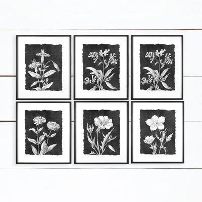Clean and Classic Framed Botanical Print Set of 6