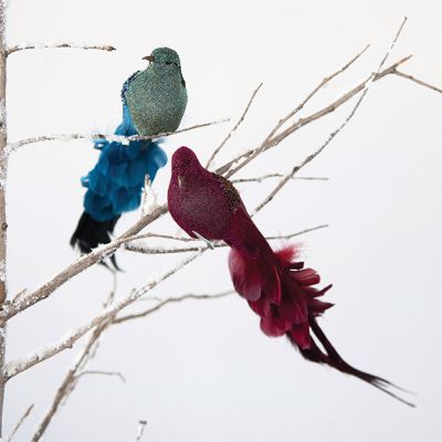 Clip On Feathered Bird Ornaments Boxed Set of 2