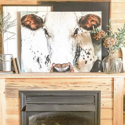Cow Close Up Photo Wall Art
