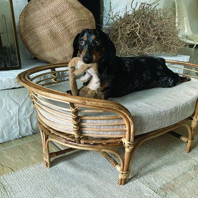 Cushioned Rattan Dog Bed