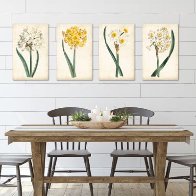 Daffodil Canvas Wall Art