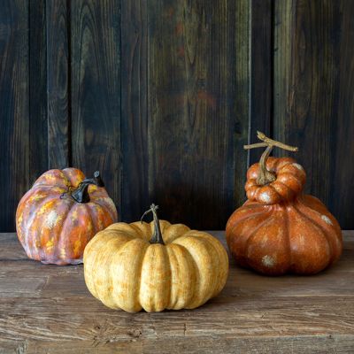 Decorative Autumn Gourds Set of 3