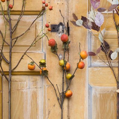 Decorative Persimmon Branch