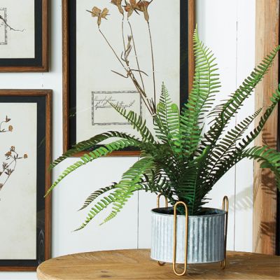 Decorative Potted Fern Plant