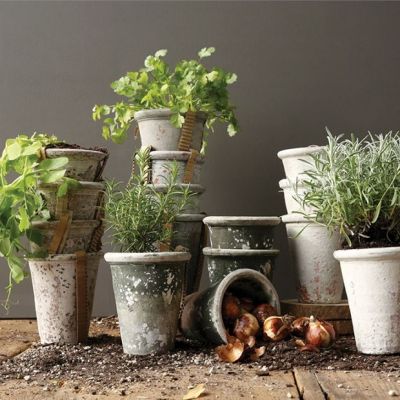 Distressed Clay Pots Set of 4