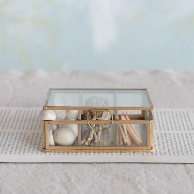 Divided Metal and Glass Display Box