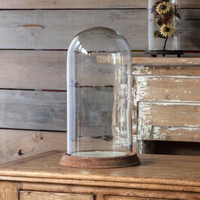 Dome Glass Cloche On Weathered Iron Base