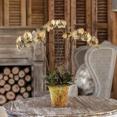 Double Stem Aged Metal Orchid Tabletop Accent