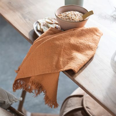 Simple Fringed Tea Towel Collection Set of 4