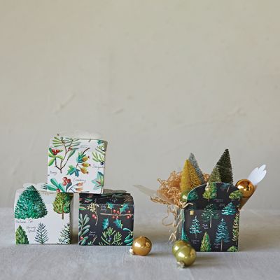 Evergreen Botanical Recycled Paper Interlocking Gift Box Set of 4