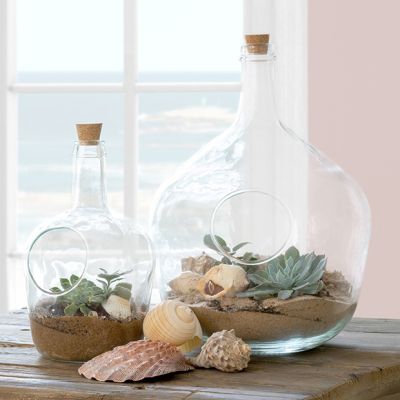 Glass Terrarium Bottle