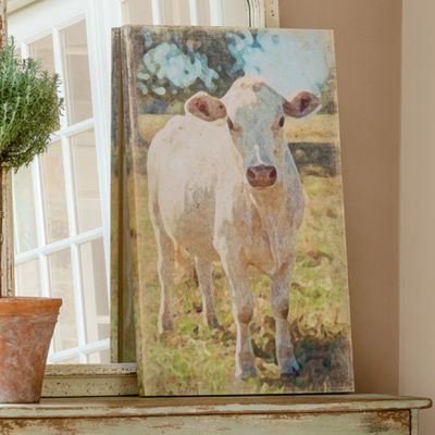 Farm Cow Canvas Print