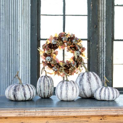 Farmhouse Pumpkin Collection Set of 5