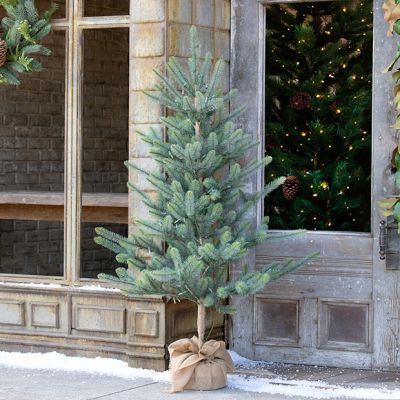 Faux Blue Spruce Seedling With LED Lights