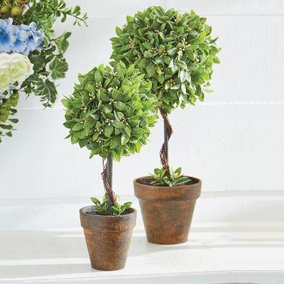Faux Boxwood Potted Topiary Set of 2