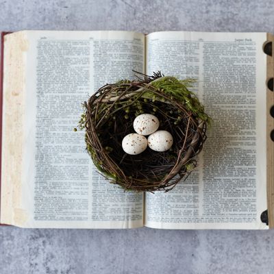 Faux Grapevine Nest and Eggs Set of 2