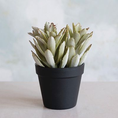 Faux Succulent In Black Pot