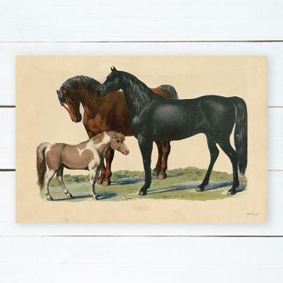 Vintage Horses Farmhouse Wall Art