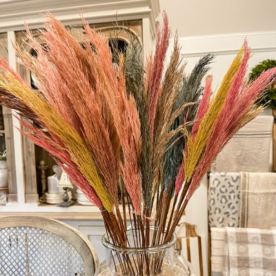 Festive Dried Pampas Grass Set of 6