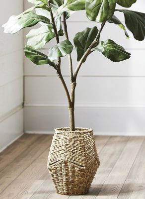 Fiddle Leaf Fig Tree in Pot 54 Inch