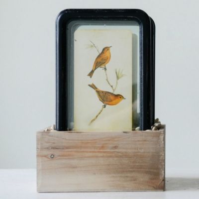 Floating Bird Framed Wall Art Set of 6
