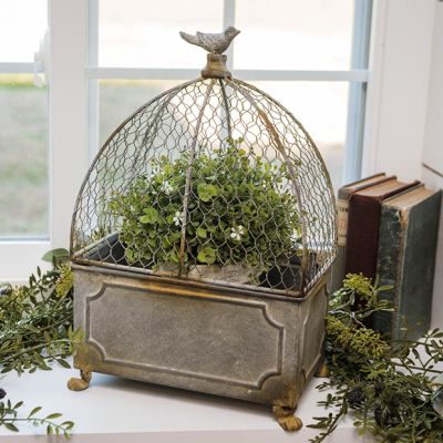Footed Box Planter With Bird Cage Cover