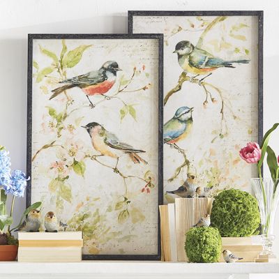 Framed Beautiful Bird Print Set of 2