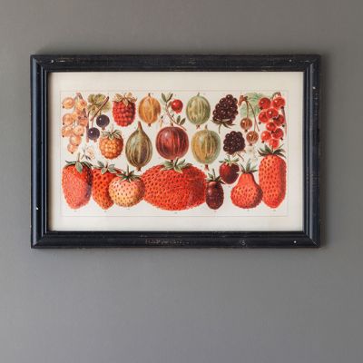 Framed Botanical Berry Art