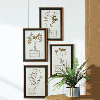 Framed Botanical Leaves Wall decor Collection Set of 4