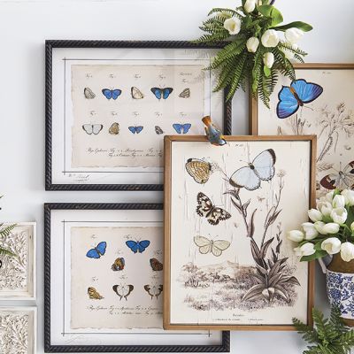 Framed Butterfly Prints Set of 2