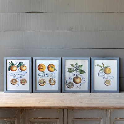 Framed Citrus And Ribbon Prints Set of 4