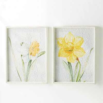 Framed Daffodil Wall Art Set of 2