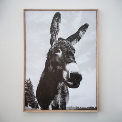 Framed Donkey Canvas Wall Art