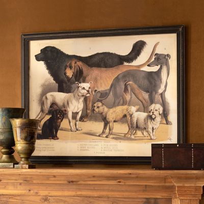 Framed House Dogs Print