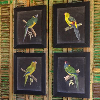Framed Parrot Wall Decor Collection Set of 4