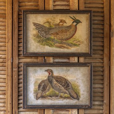 Framed Pheasant Prints Set of 2