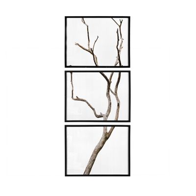 Framed Wood Branch Art Set of 3
