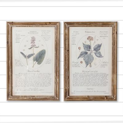 French Country Floral Framed Print Set of 2
