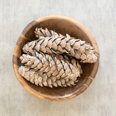 Frosted Decorative Pinecones 3 Bags of 6