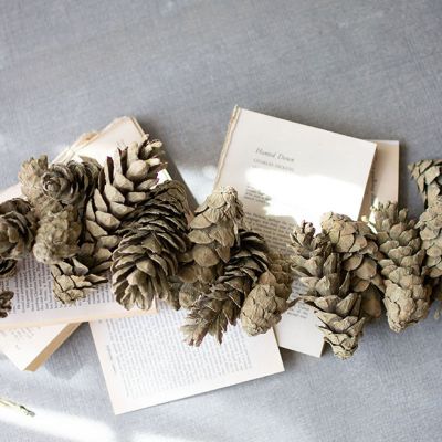 Frosted Sage Pine Decorative Garland Set of 2