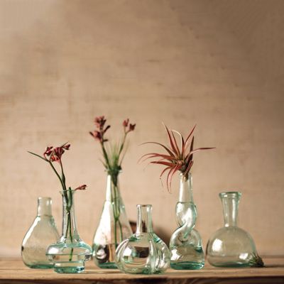 Glass Bottle Bud Vase Set of 6