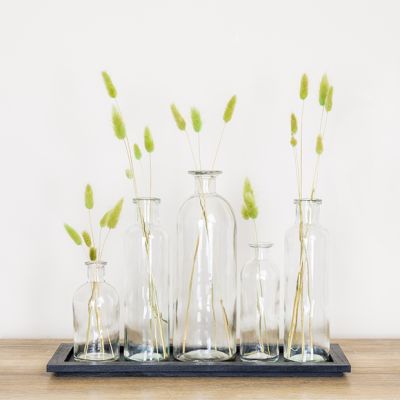 Glass Bottle Stem Vase Set of 5 With Tray