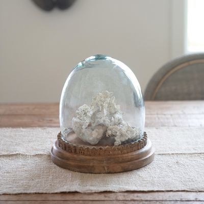 Glass Cloche With Carved Wood Base