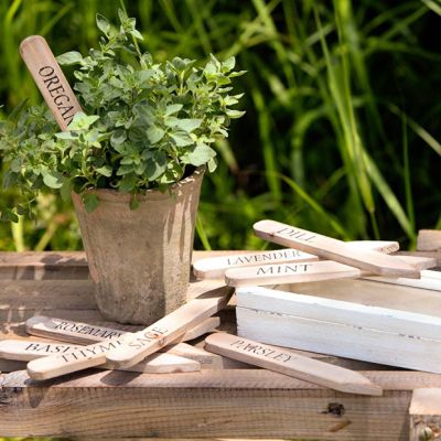 Herb Garden Stakes With Box