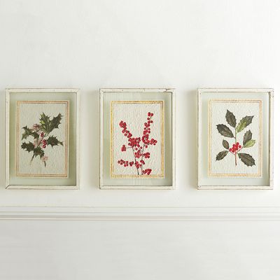 Holly and Berries Framed Wall Print Set of 3