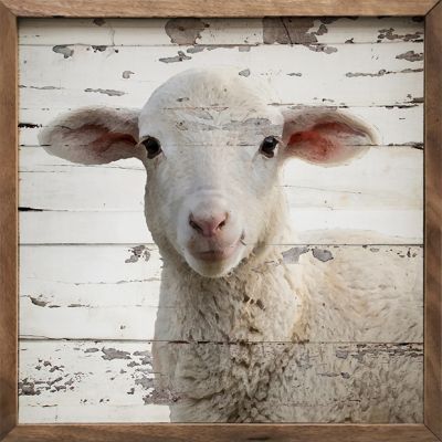 Lamb Chippy Whitewash Framed Wall Art