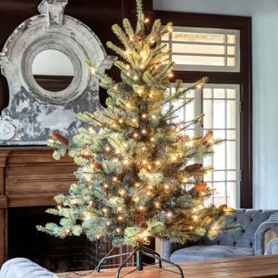 Lighted Blue Spruce Christmas Tree